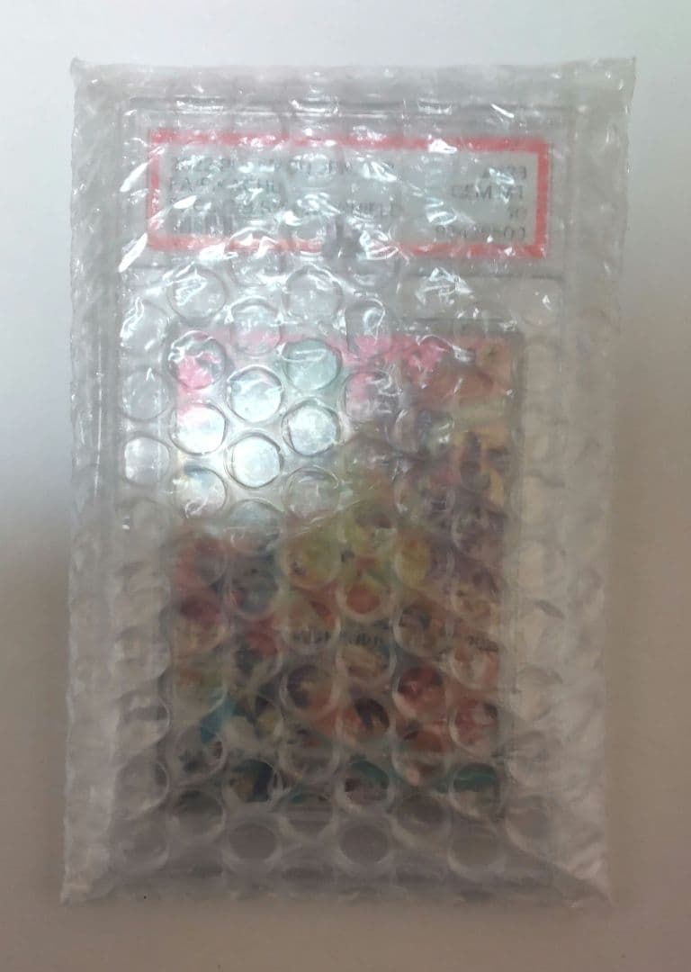 ぴ*様 ピカチュウ プレシャス コレクターボックス PSA10 説明必読