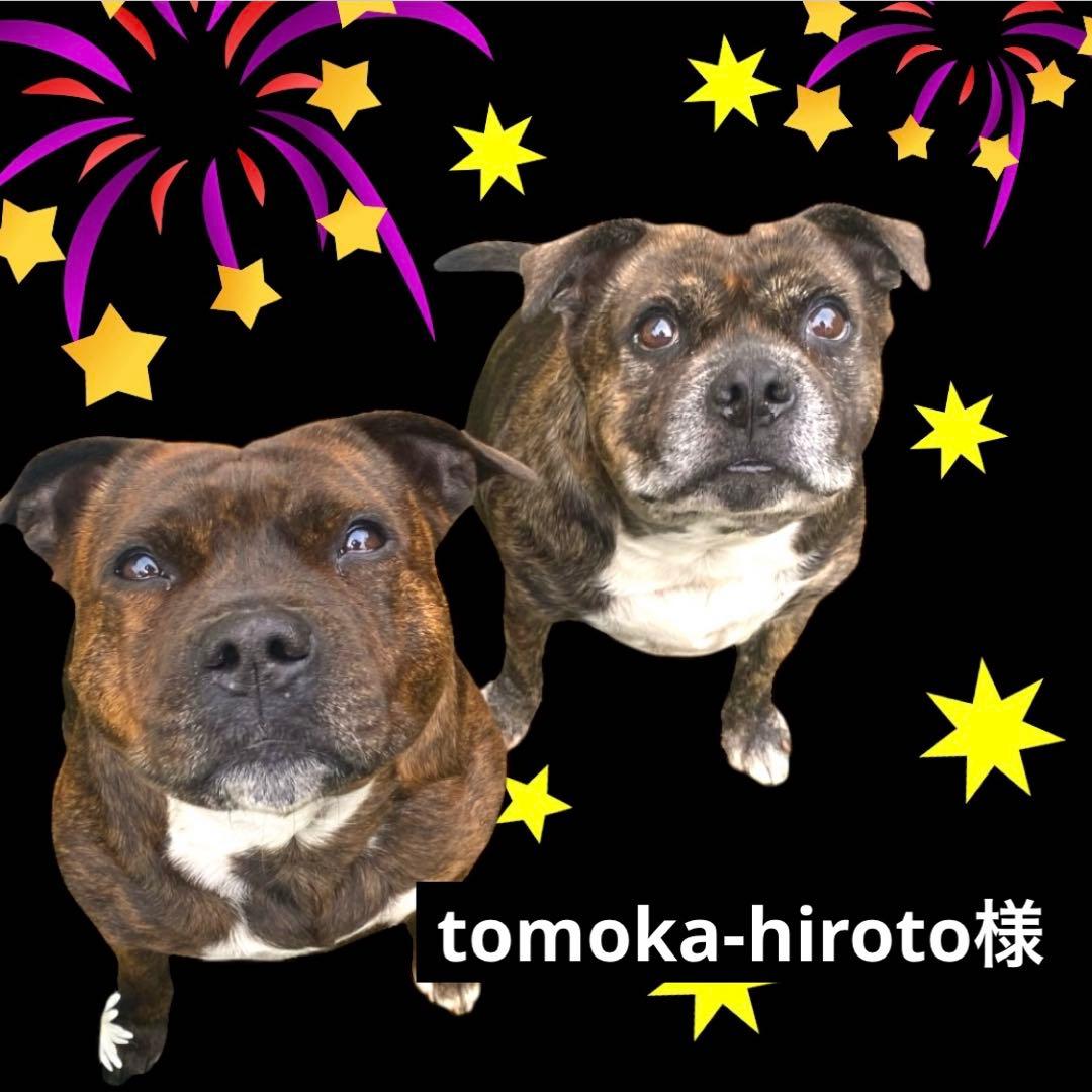 ②鹿 骨と肉。お肉たっぷり♡19cm×100g5本