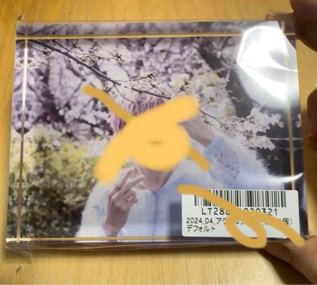 アリス九號　将　アクリルブロック Verde/ SHOU