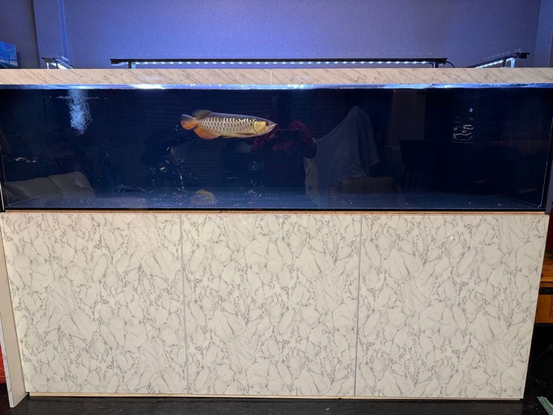 大型オーバーフロー水槽一式／引き取り限定 下部水槽 濾過剤