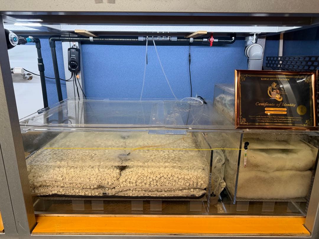 大型オーバーフロー水槽一式／引き取り限定 下部水槽 濾過剤