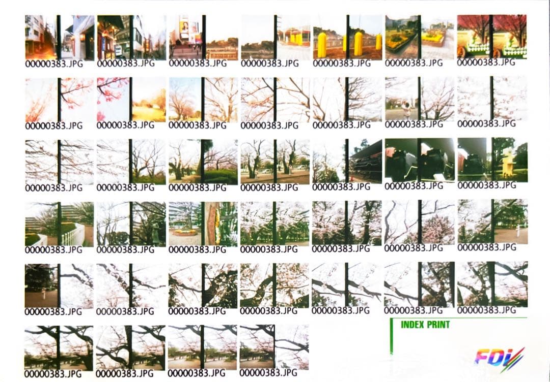 Olympus PEN-D フィルムカメラ