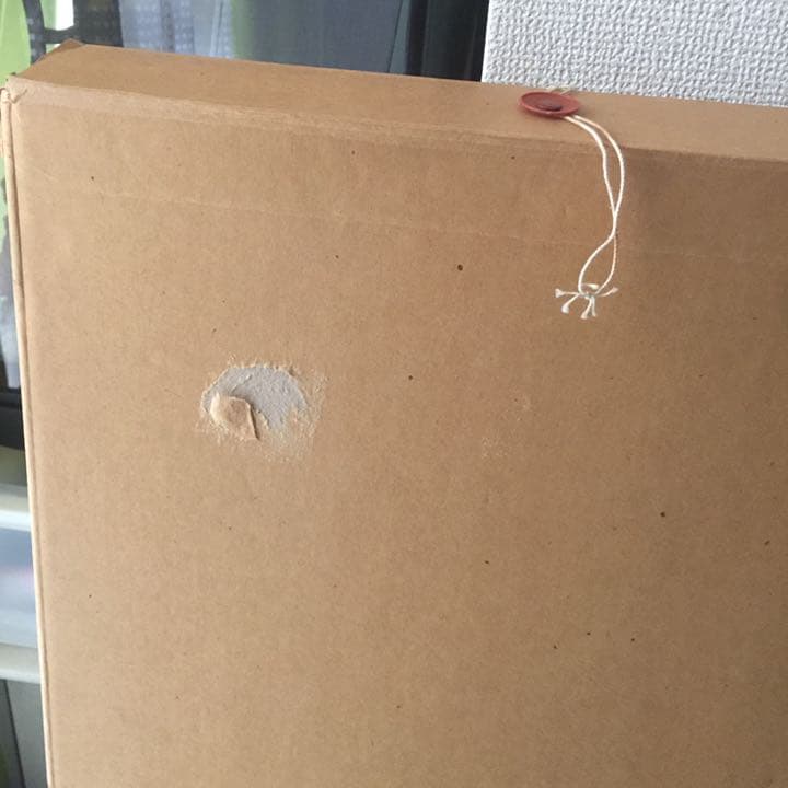 クリスチャン・リース・ラッセン　Dolphin Quest Ⅱ 1997年