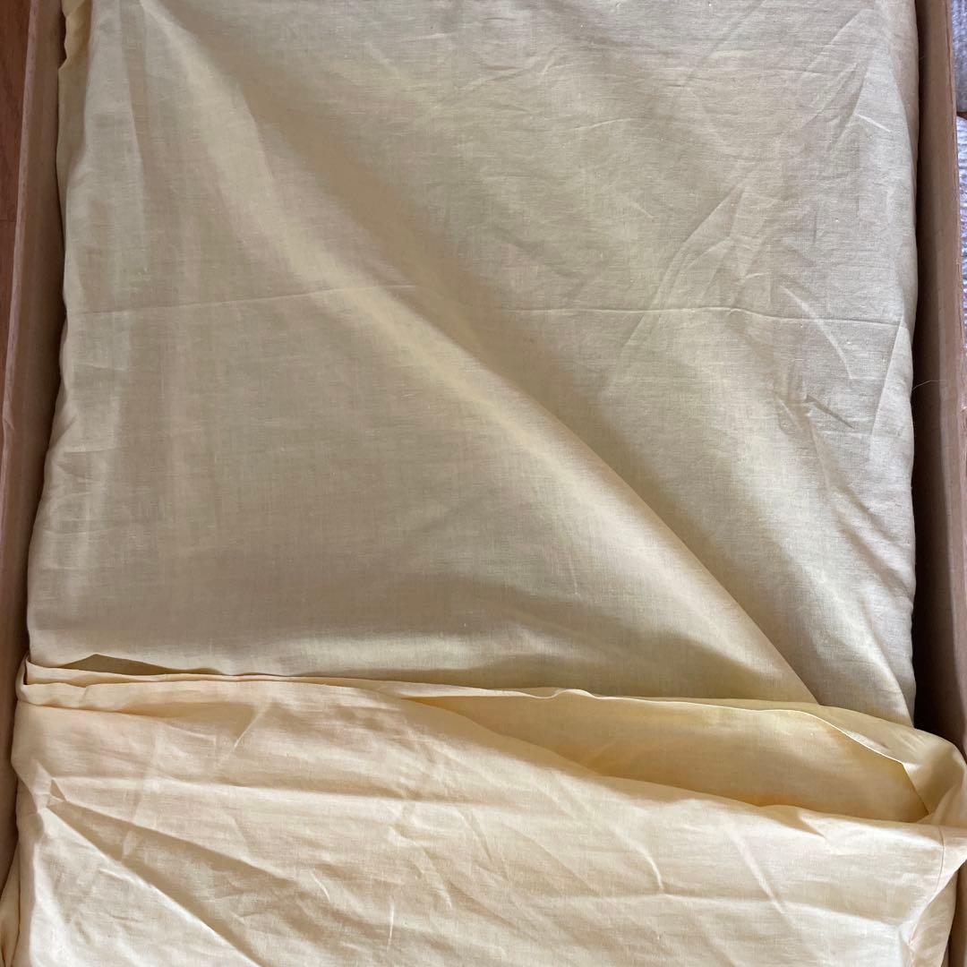 阮界望作　裸婦