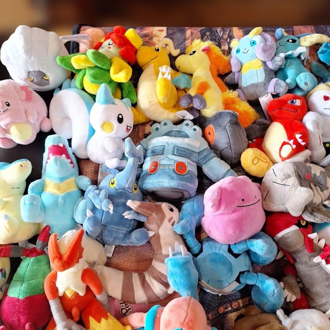 タグ付きあり　ポケモンセンター　FIT　まとめ　大量　中古あり　ぬいぐるみ