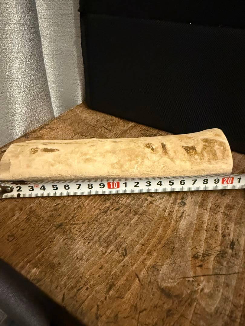 珪化木 超美品 20cm×5cm 625g