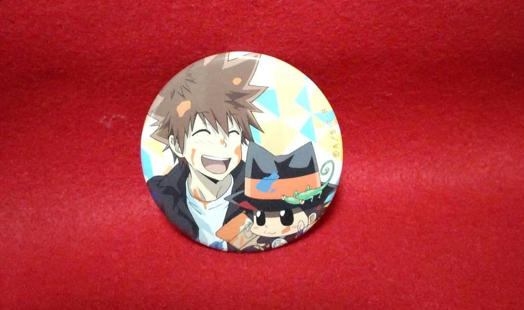 REBORN リボーン 沢田綱吉 アトレ 缶バッジ atre