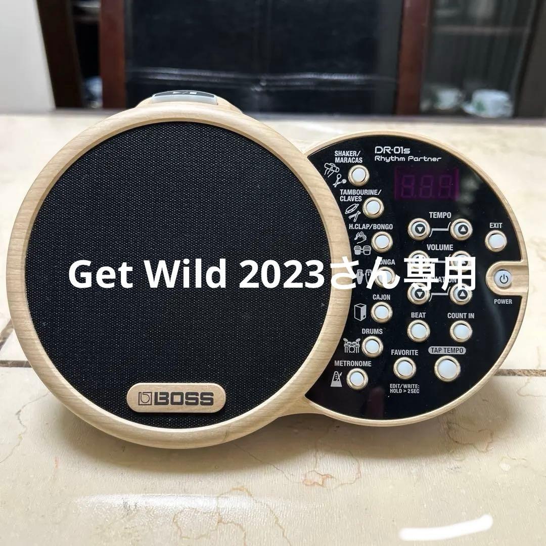 パーカッション・打楽器 DR-01S Rhythm Partner