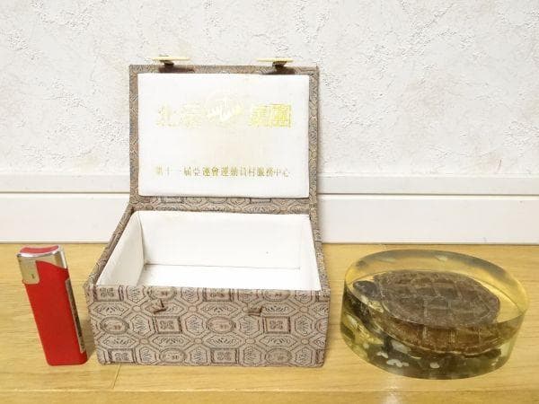 80年代 ビンテージ 亀 クサガメ 蟹 標本 透明 文鎮 水中花 縁起物 当時物