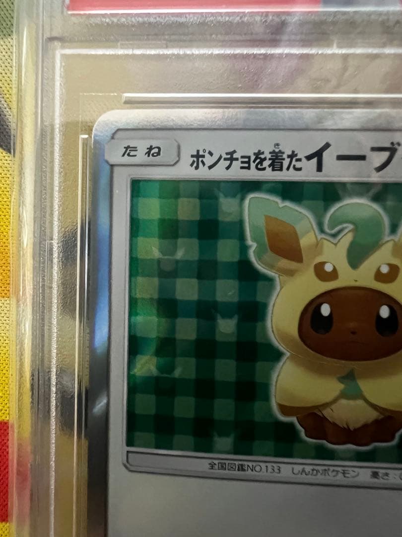 ポンチョを着たイーブイプロモPSA10