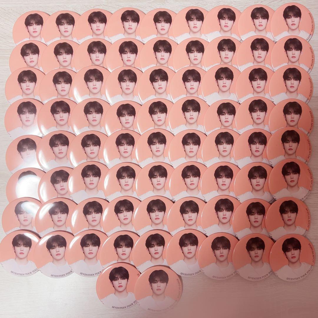 SEVENTEEN エスクプス follow again Japan 缶バッジ