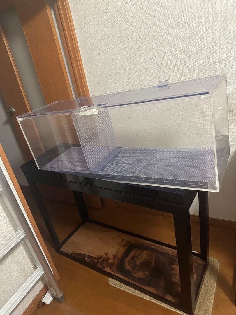 咲夜　アクリル水槽のみ