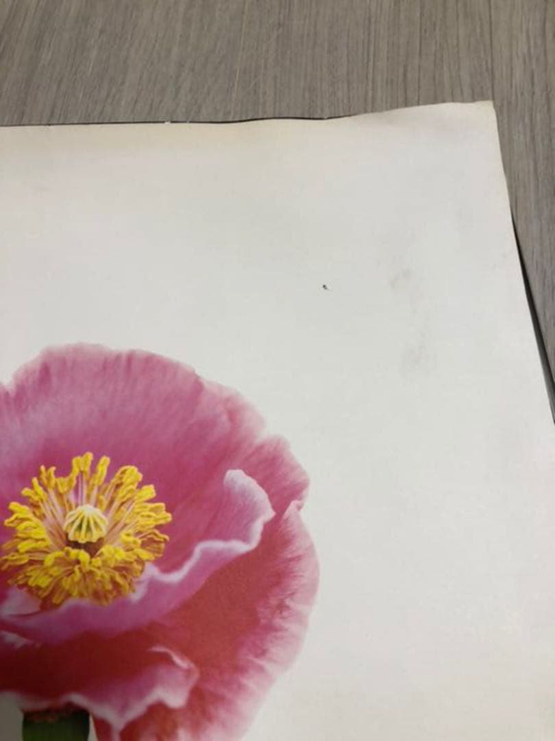 ミスチル it's a wonderful worldポスターB1サイズ❗❗