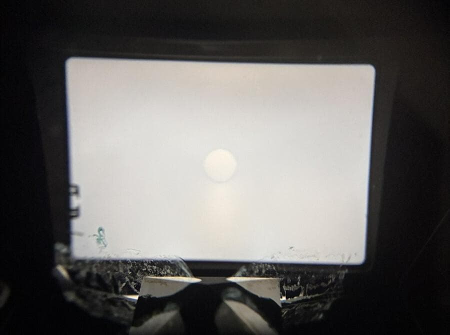 OLYMPUS OM-1 F.ZUIKO 50mm F1.8 《 露出計稼働