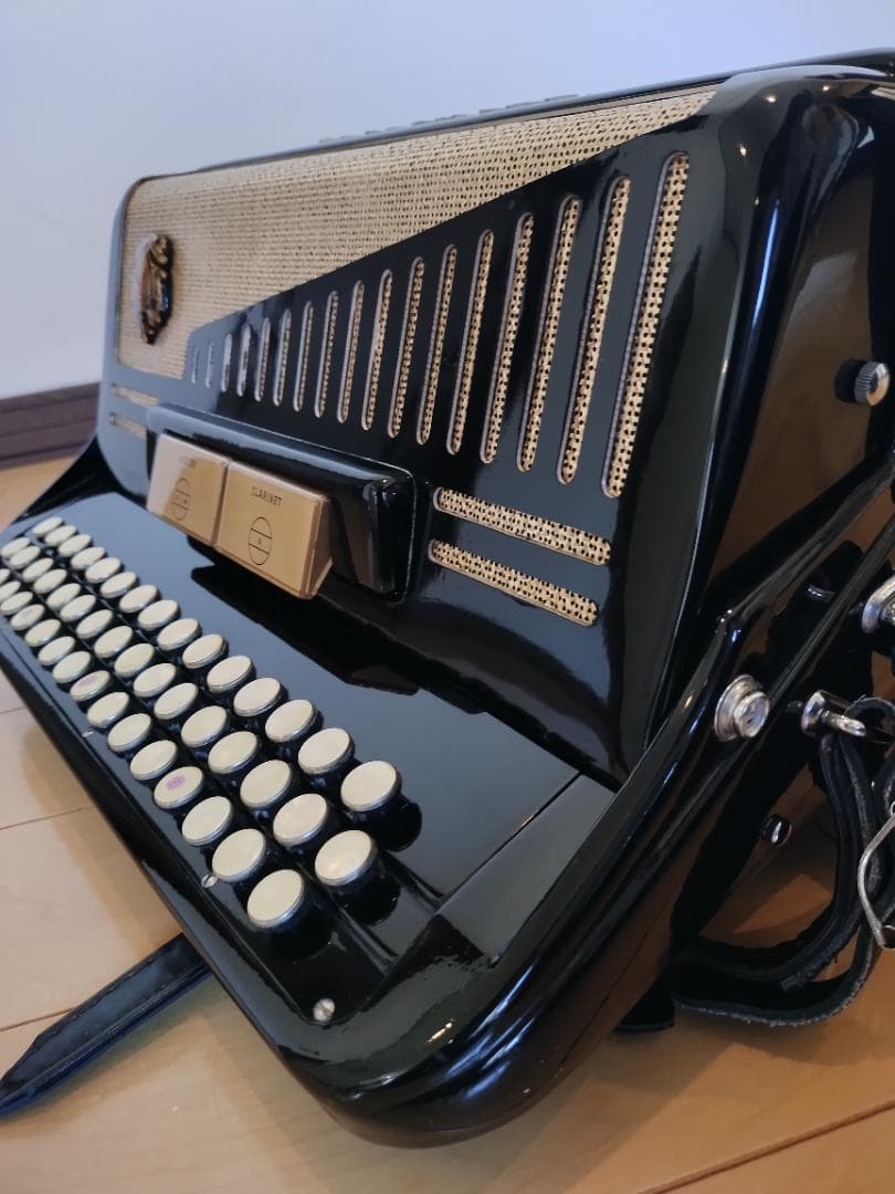 ⭐︎イタリア製⭐︎SCANDALLI ボタン式アコーディオン ソフトケース付