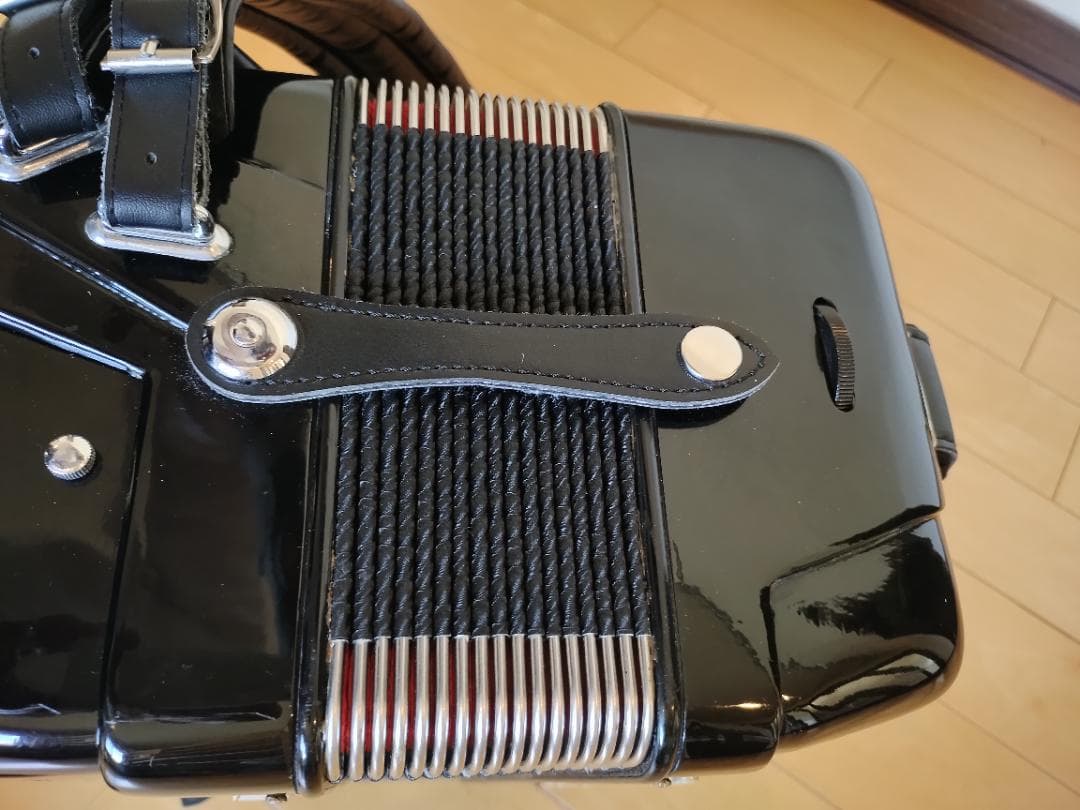 ⭐︎イタリア製⭐︎SCANDALLI ボタン式アコーディオン ソフトケース付