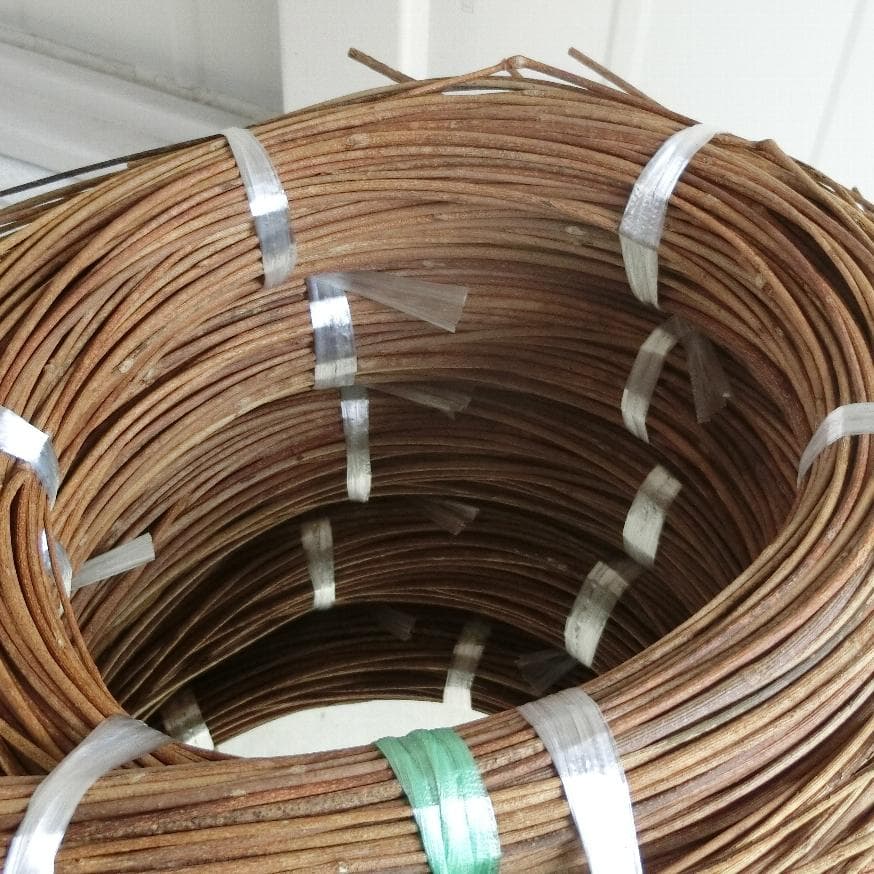 みっくん　青森岩木山採取　あけび蔓　150cm～ 5kg