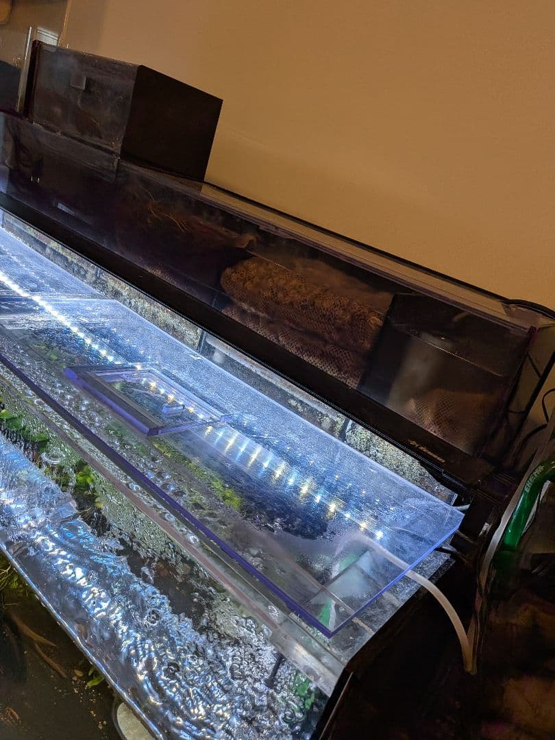 綺麗な1200×450×450　4面ブラックアクリル水槽 フルセットです！！