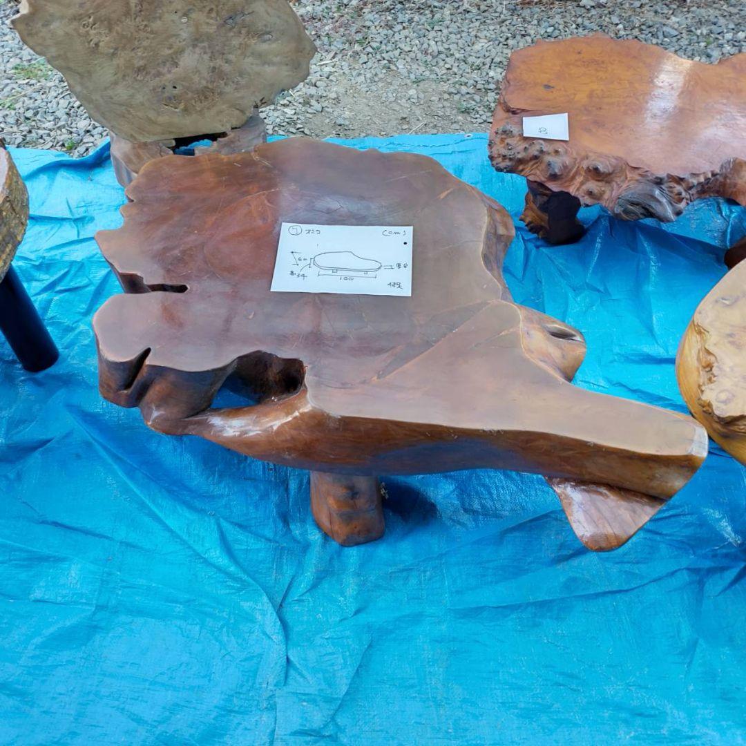 イチイ（一位）の切り株のちゃぶ台