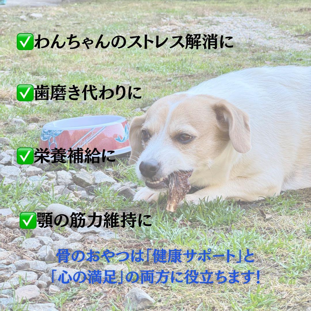 お得用‼️1000g 鹿あばらジャーキー 中小型犬向けサイズ 鹿肉ジャーキー