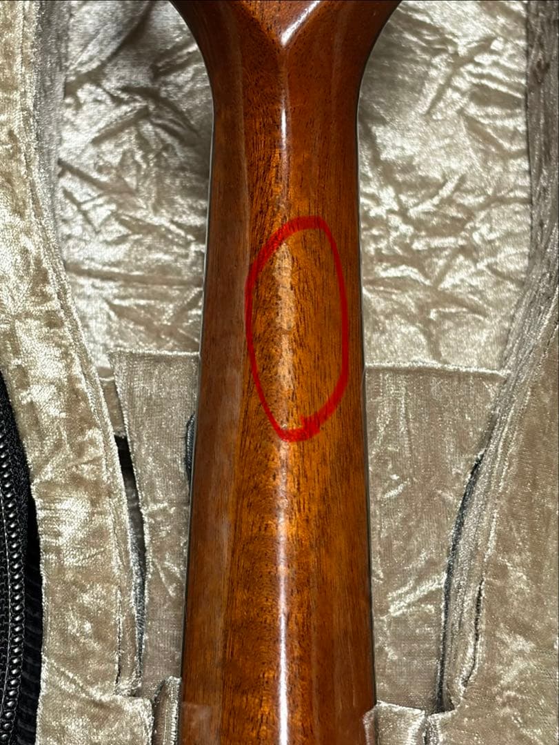 ✴︎美品✴︎ SUZUKI マンドリン M-30 & スーパーライトケース茶色