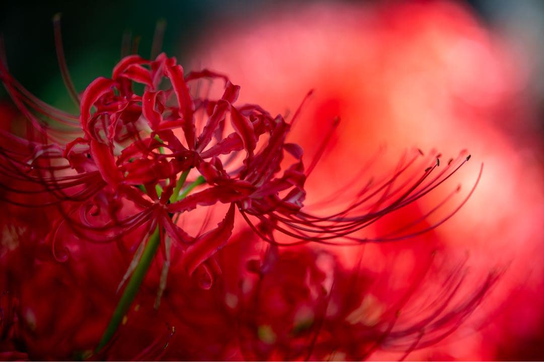 タムロン　70-210mm f4 a034 TAP-in コンソール　ニコン