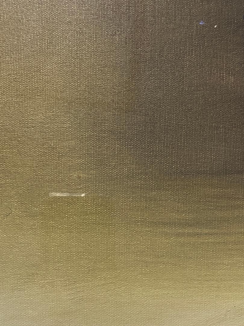 「真作」平山講平「黄色い花」静物画　油彩画　額装　サイン有り　F20号