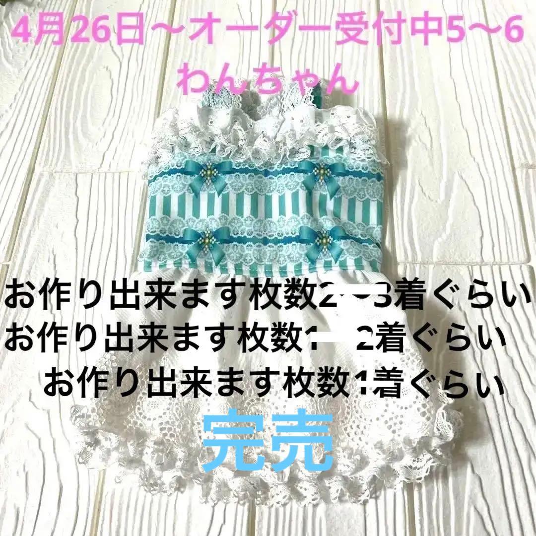 犬服ハンドメイド　4月26日〜オーダー受付中