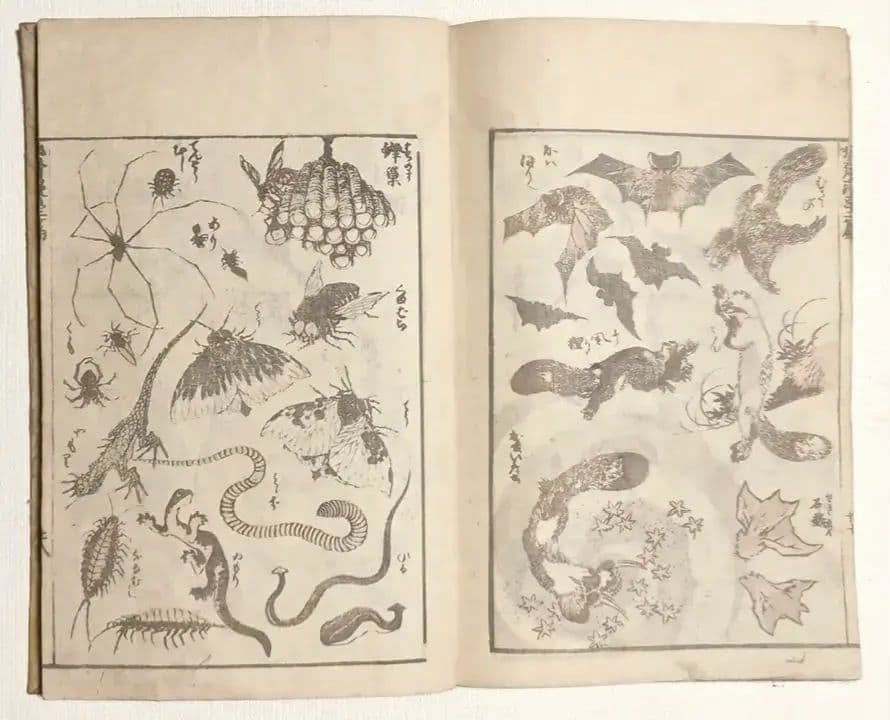 版画北斎漫画二編 （後摺り)葛飾北斎画尾陽東壁堂（永楽屋東四郎)嘉永2年以降出版