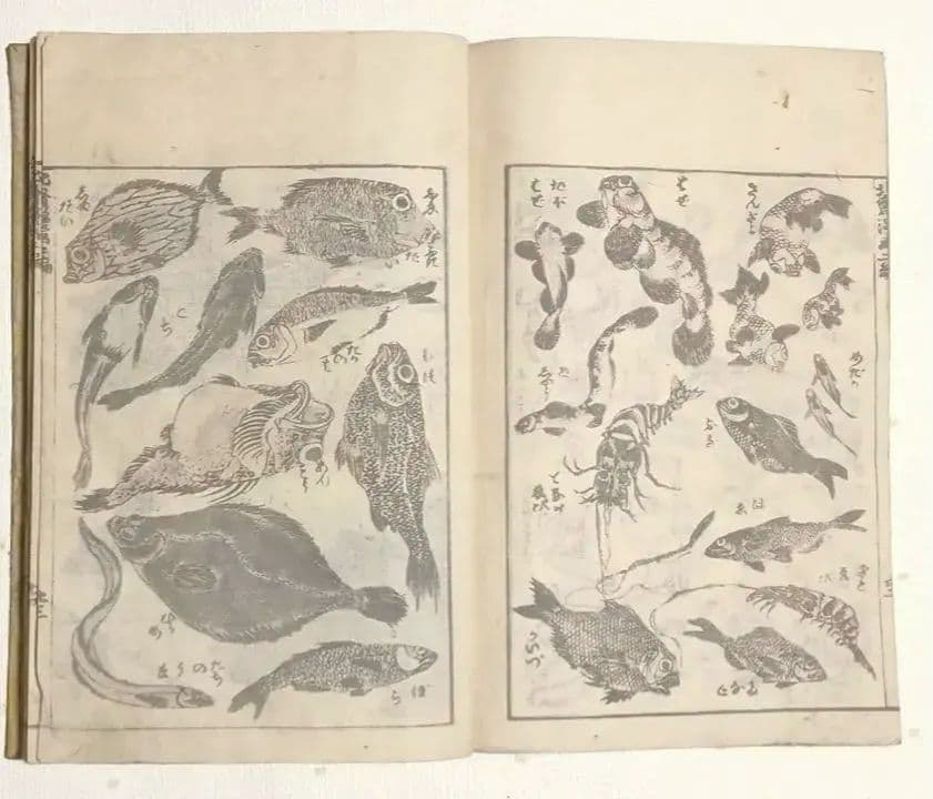 版画北斎漫画二編 （後摺り)葛飾北斎画尾陽東壁堂（永楽屋東四郎)嘉永2年以降出版