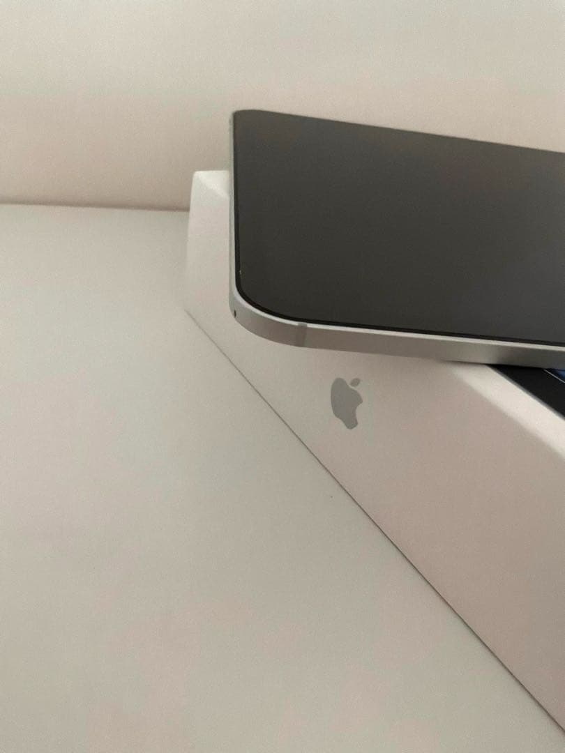 iPad Pro 11 1TB M4 Wi-Fi シルバー