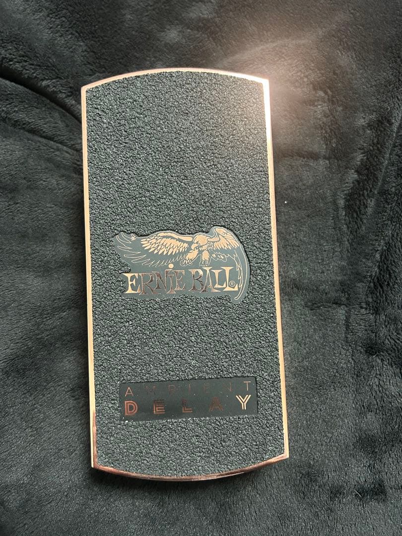 再値下！ERNIE BALL AMBIENT DELAY / TAP TEMPO