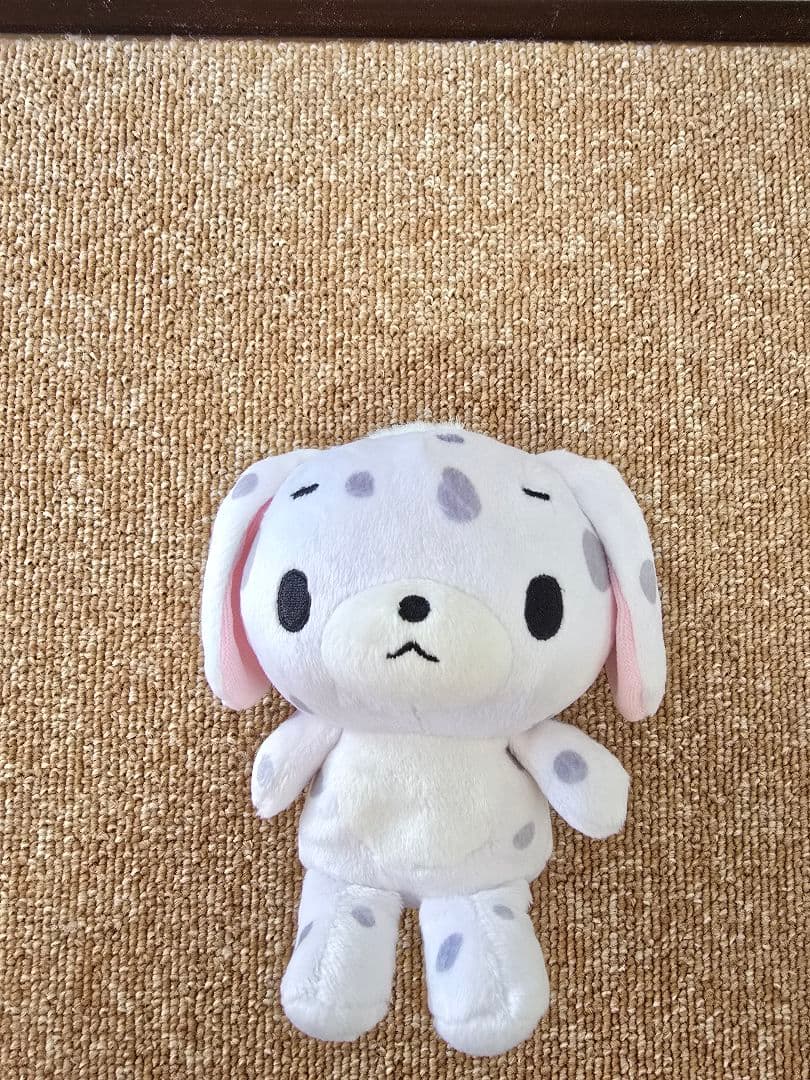 シュガーバニーズ 希少 ぶちうさ