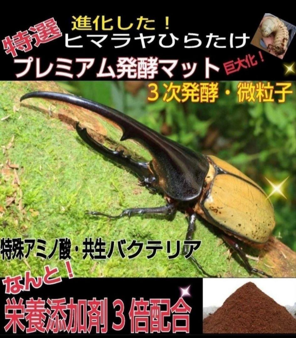 【２セット】カブトムシ幼虫を入れるだけ！プレミアム発酵マット入り㍑ボックス