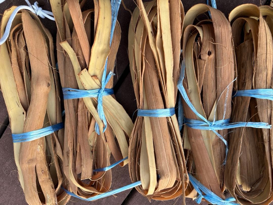 岩手県産山葡萄　樹皮　S級