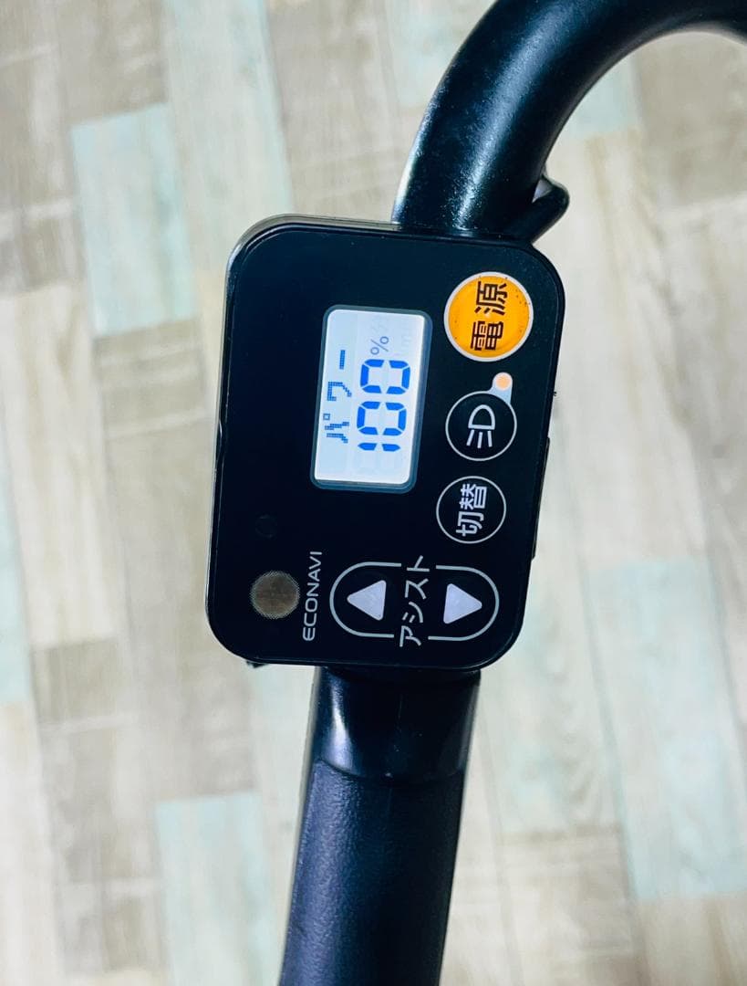 2019 超人気色 王様 ギュットアニーズ子供乗せ電動アシスト自転車 H3172