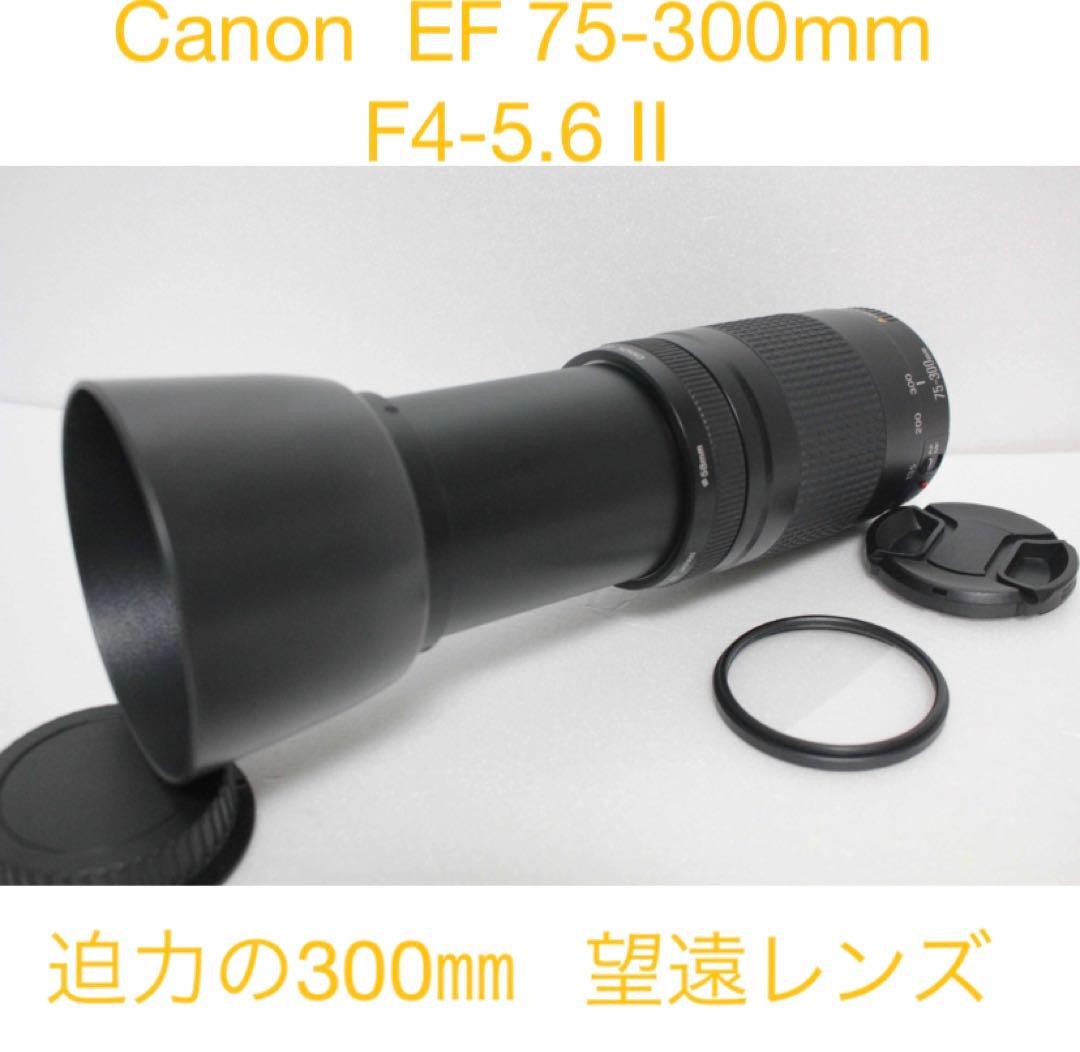 迫力の300㎜/キャノン望遠レンズ/Canon EF75-300㎜　II