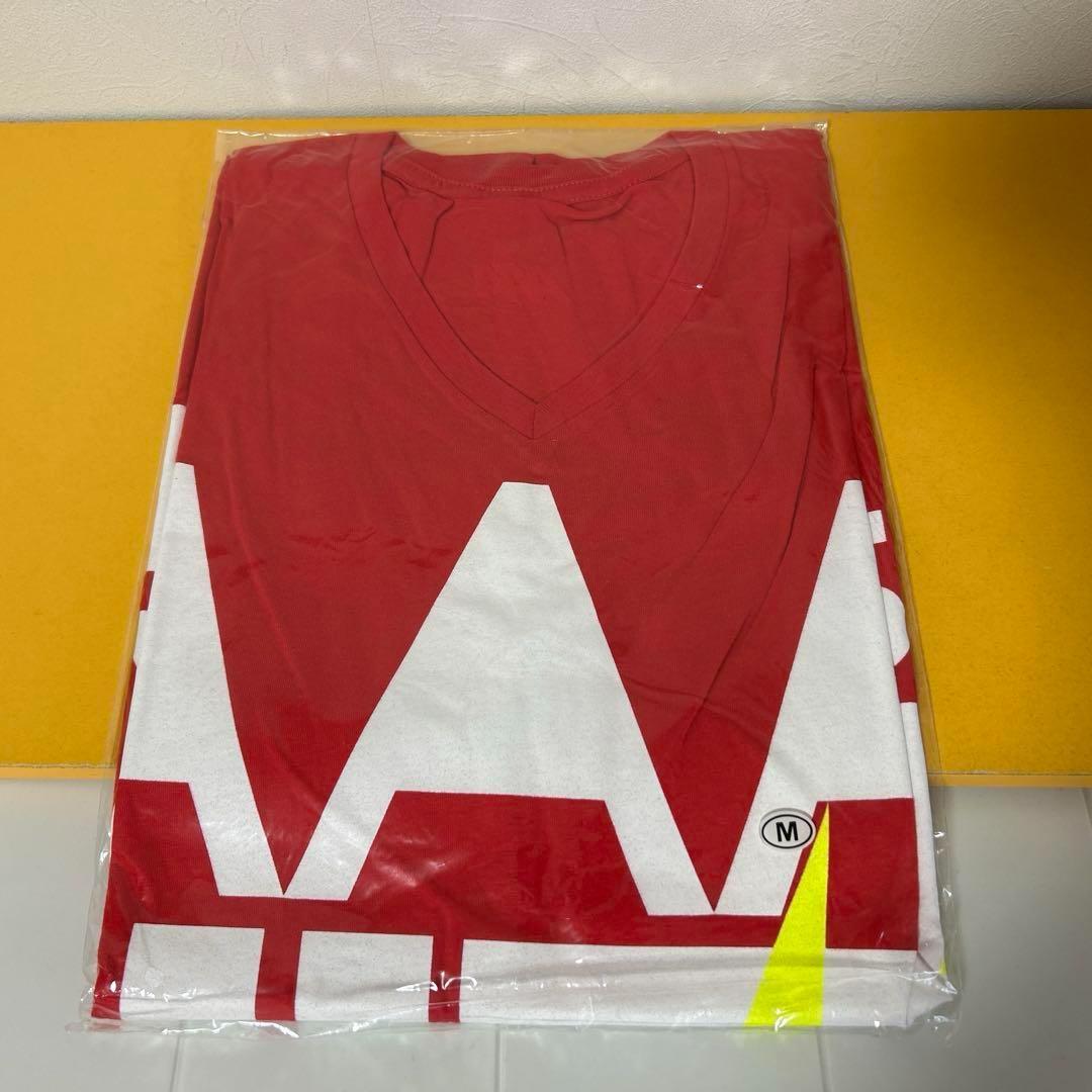 AAAグッズ 17点まとめ売り 「パンフ、ファイル、タオル、Tシャツ、他」