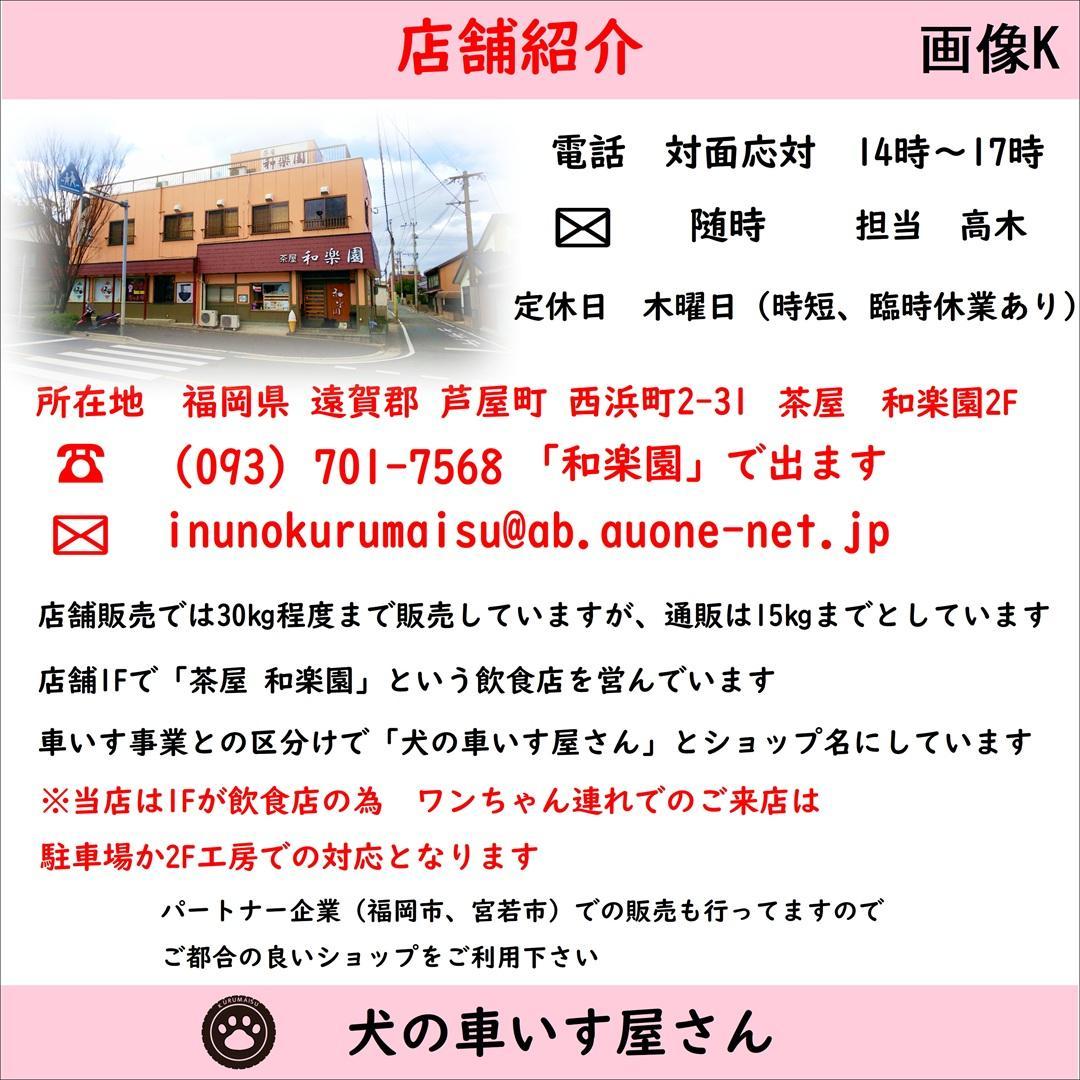 犬用車椅子　散歩行こうCar 　中型（体重8kg～15㎏未満）