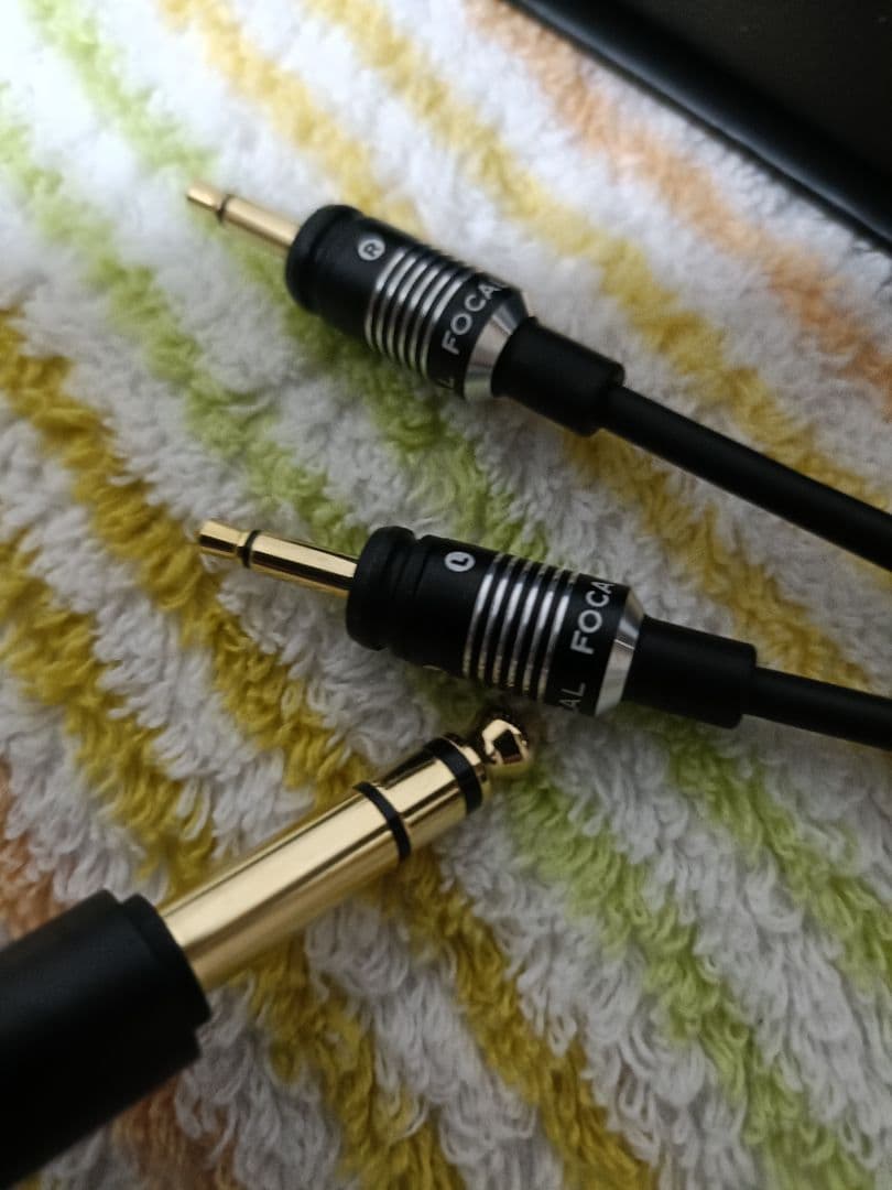 ヘッドホン Focal Clear MG Pro