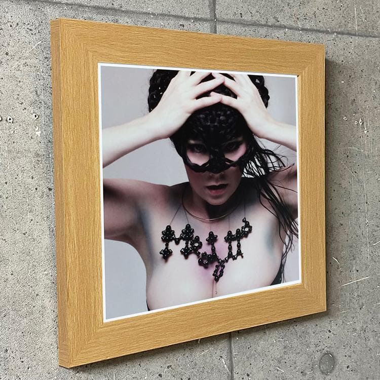 特別額装品/Bjork（ビョーク）/Medulla 2004年