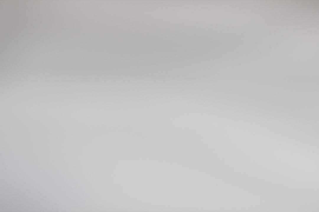 お手軽✨キャノン EF-S 55-250mm IS 手ブレ補正 望遠レンズ