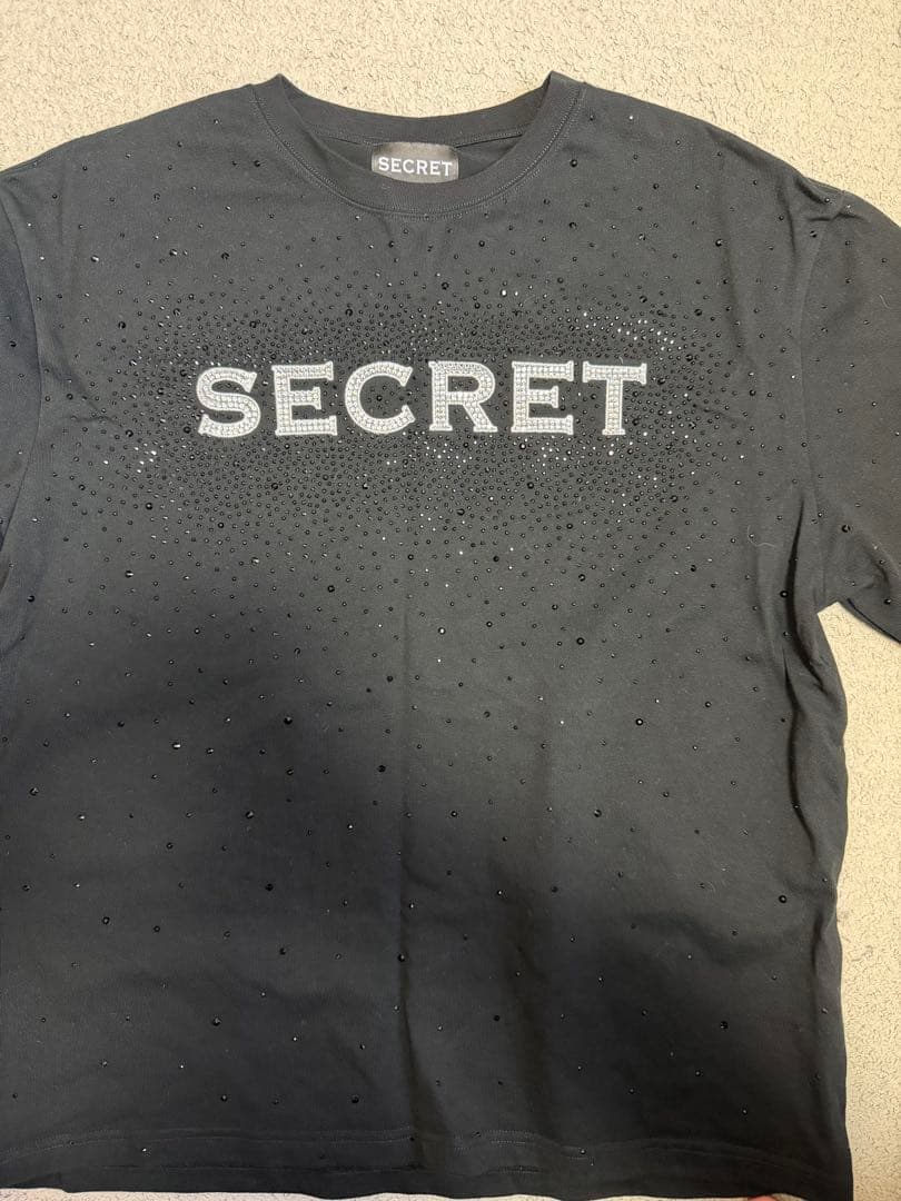 【入手困難】Yvng Patra着用 SECRET STONE T-shirt