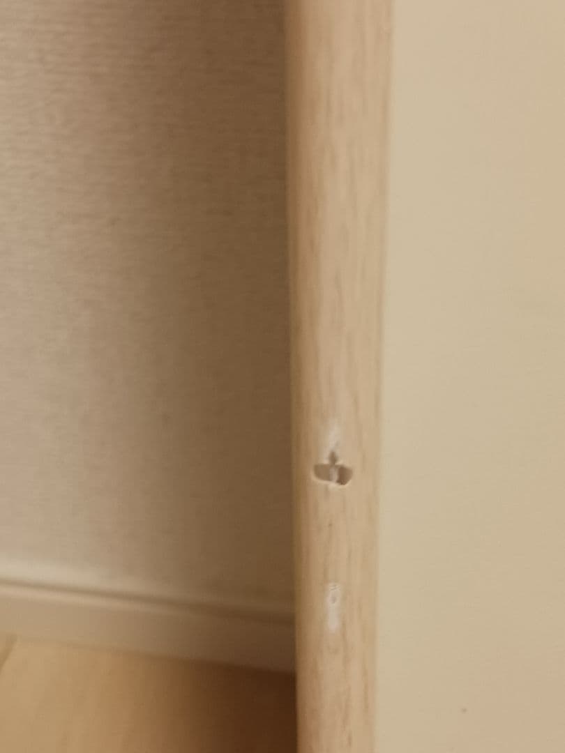 安井寿磨子　「こぶし 春　ゆるい風」　額入り　5/20 直筆サイン　大阪　堺の人