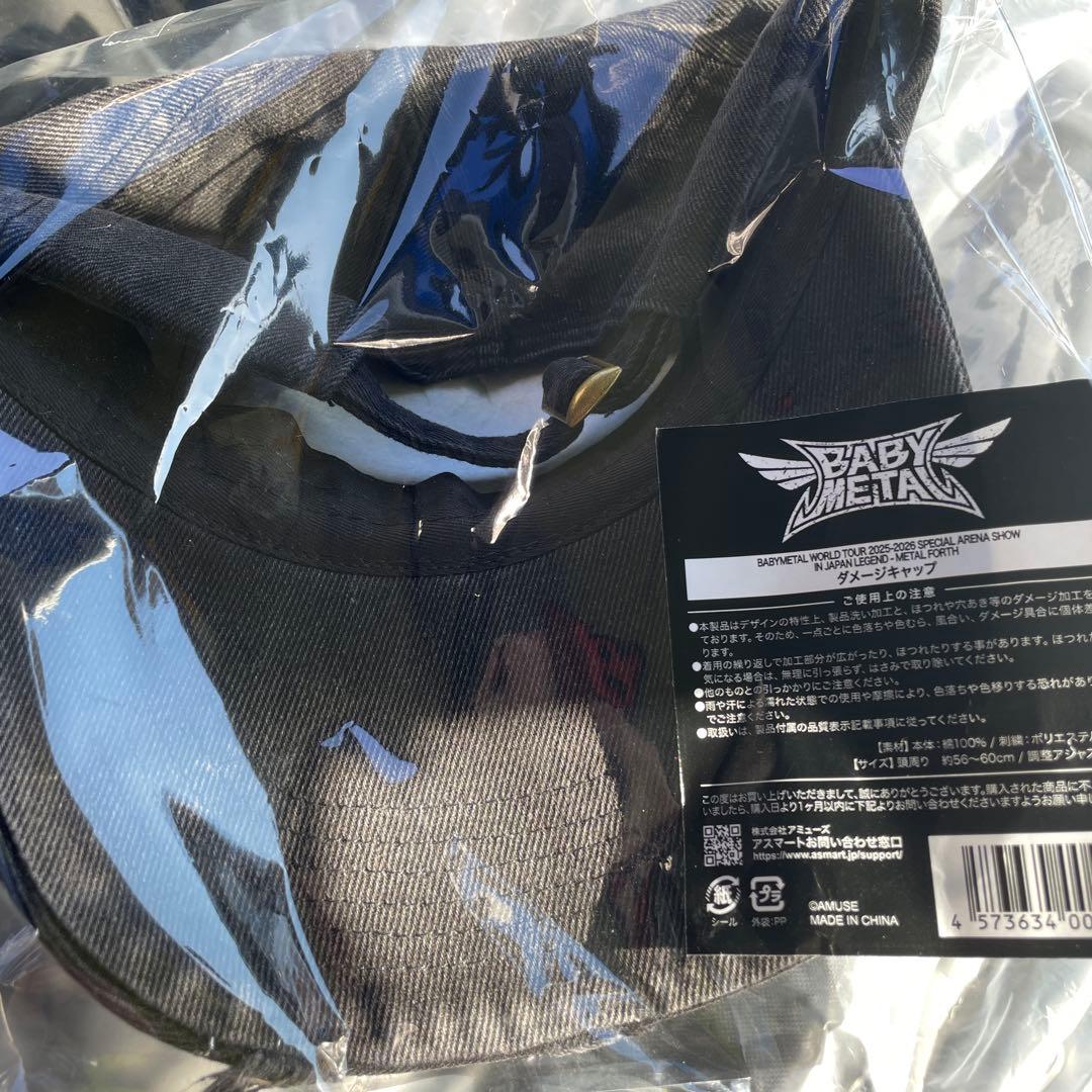 BABYL WORLD TOUR 2025-2026 ダメージキャップ