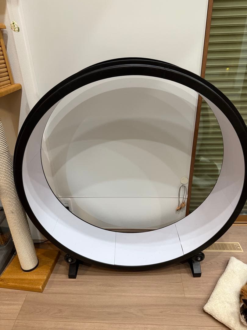 米国商品　One fast cat ネコ用エクササイズホイール　猫用運動器具