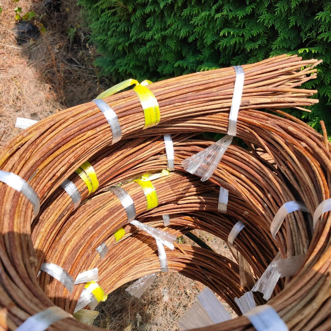 hkeplk　青森県岩木山採取　あけび蔓　70cm～150cm　5kg