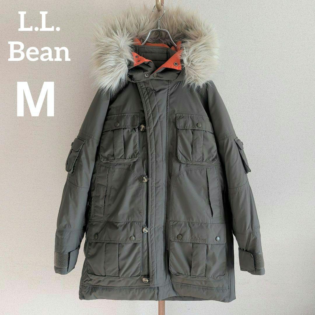 希少 エルエルビーン N-3B フィールドダウンパーカー ゴアテックス 3way