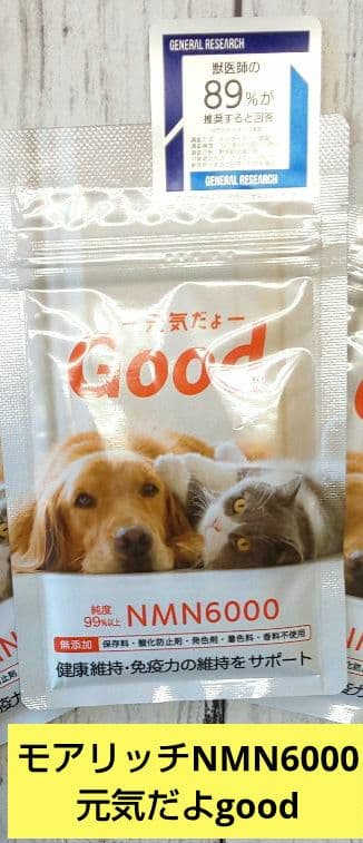 ！専用ページ！モアリッチ NMN6000 元気だよgood 犬猫