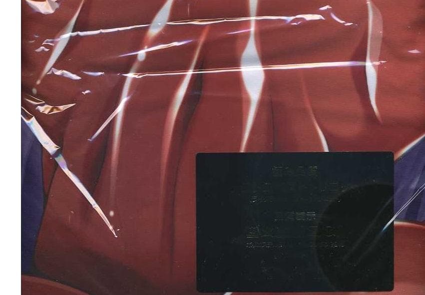 葵渚　アネットさんとリリアナさん　リリアナさん抱き枕カバー　我が家のリリアナさん